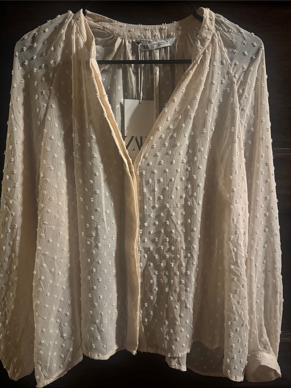 Zara Cream Textured Swiss Dot Blouse, NWT